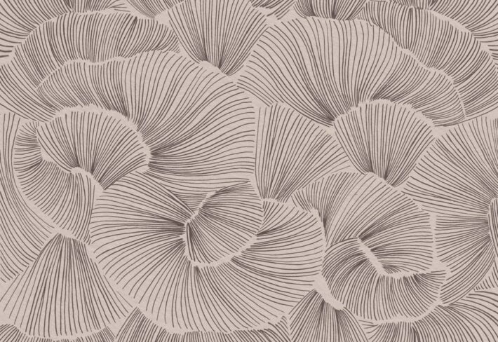 Aerisca, Soft Neutral Brown Petal Drift Wallpaper Mural