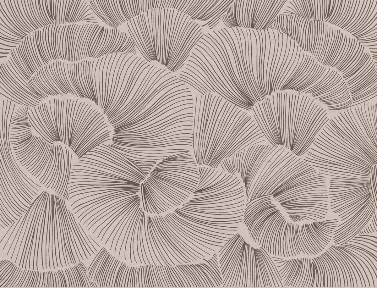 Aerisca, Soft Neutral Brown Petal Drift Wallpaper Mural