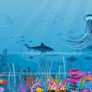Aqua Safari, Beneath The Waves Wallpaper Mural